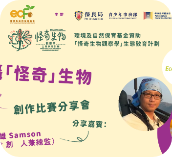 Nighttime shooting of 「strange」 creatures