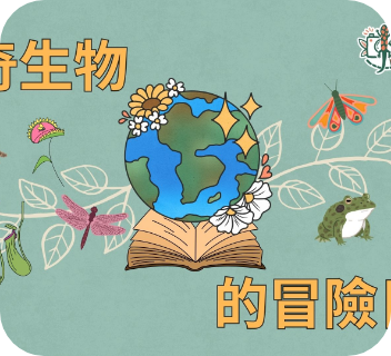 Adventure Diary of Strange Creatures